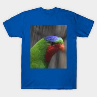 Blue-Crowned Lorikeet T-Shirt